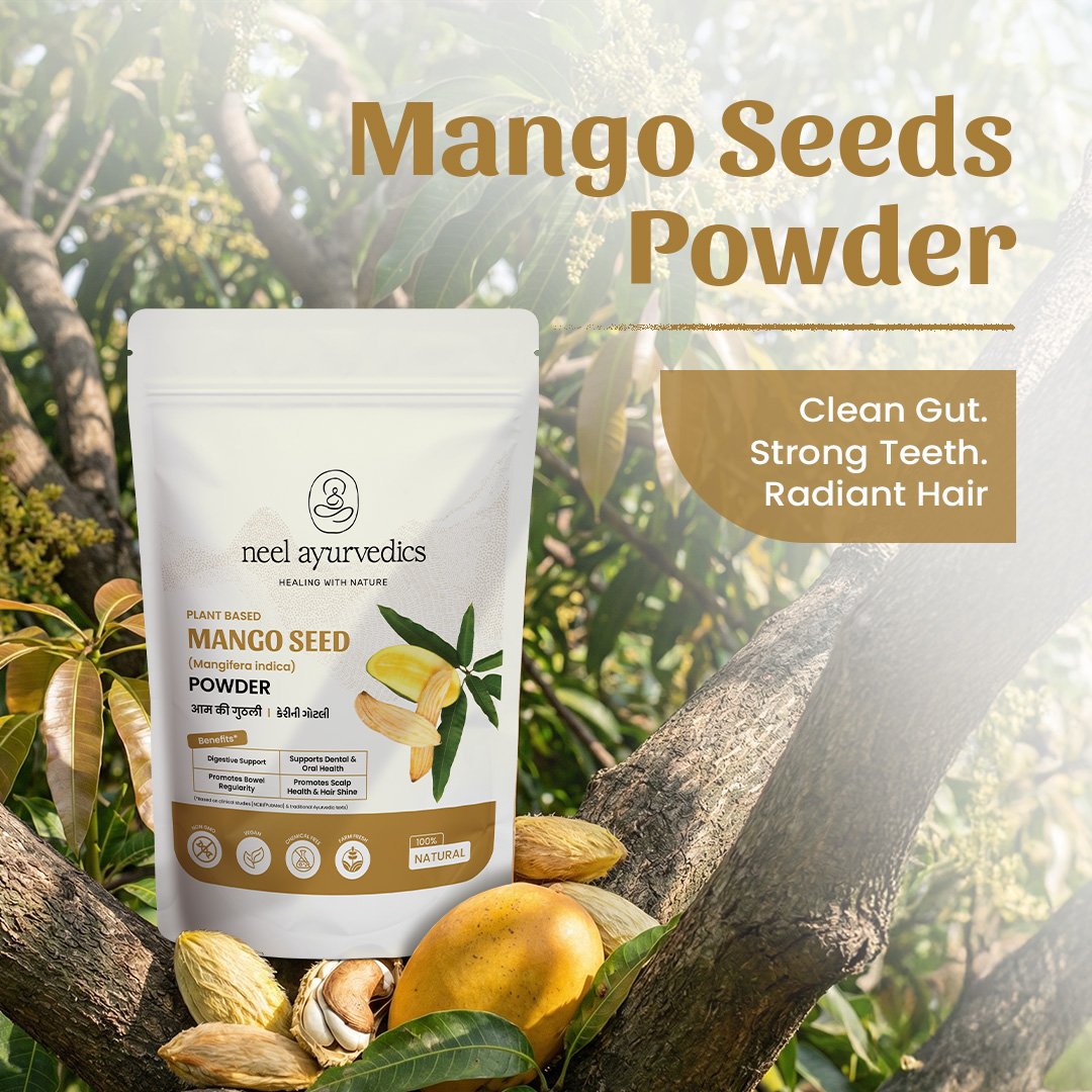 2 Mango Seeds Powder