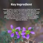 1 Dhamasa Powder Mockup