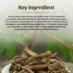 1 Erand Mool Powder Mockup