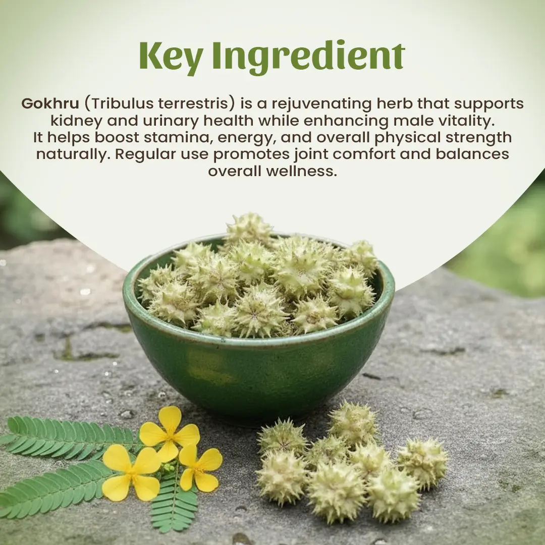 4 Gokhru Powder Ingredient