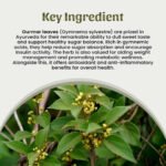 1 Gurmar leaves Powder Mockup