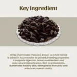 1 Himej Powder Mockup