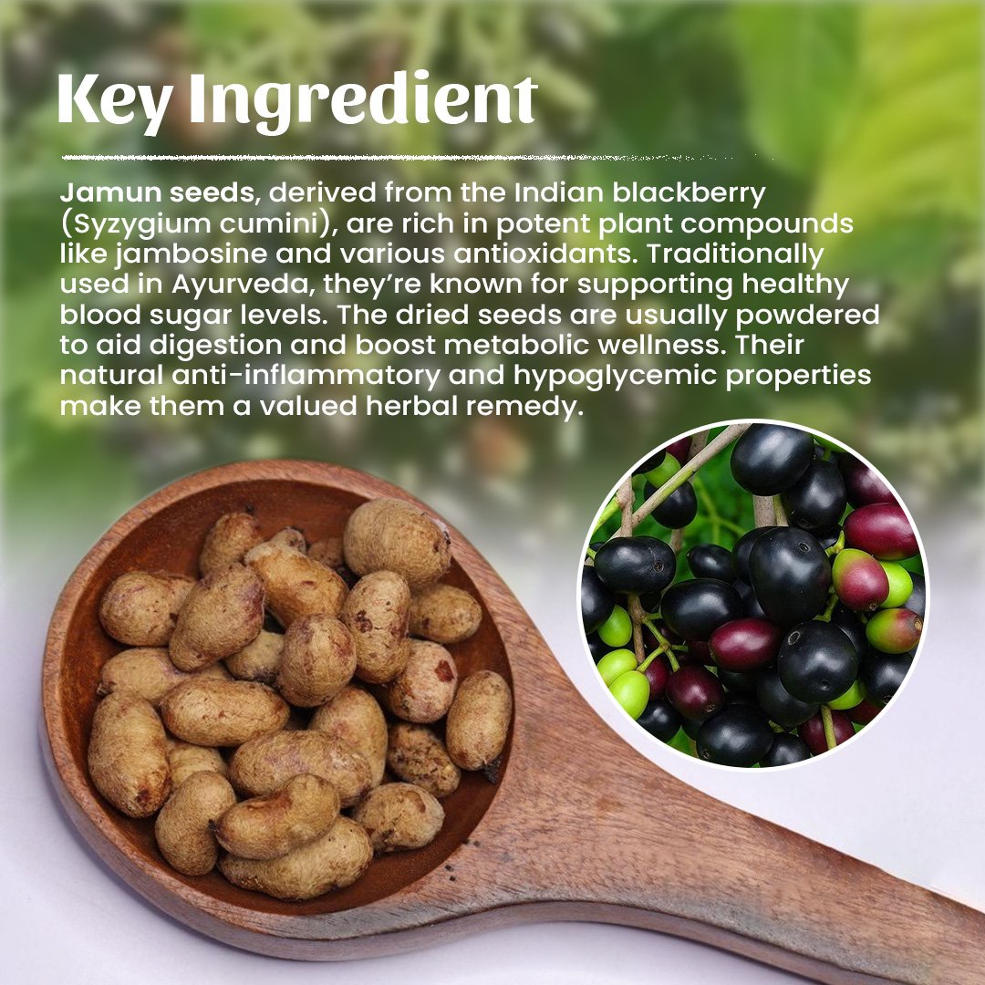 4 Jamun Seeds Powder Ingredient