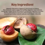 1 Javantri Powder Mockup