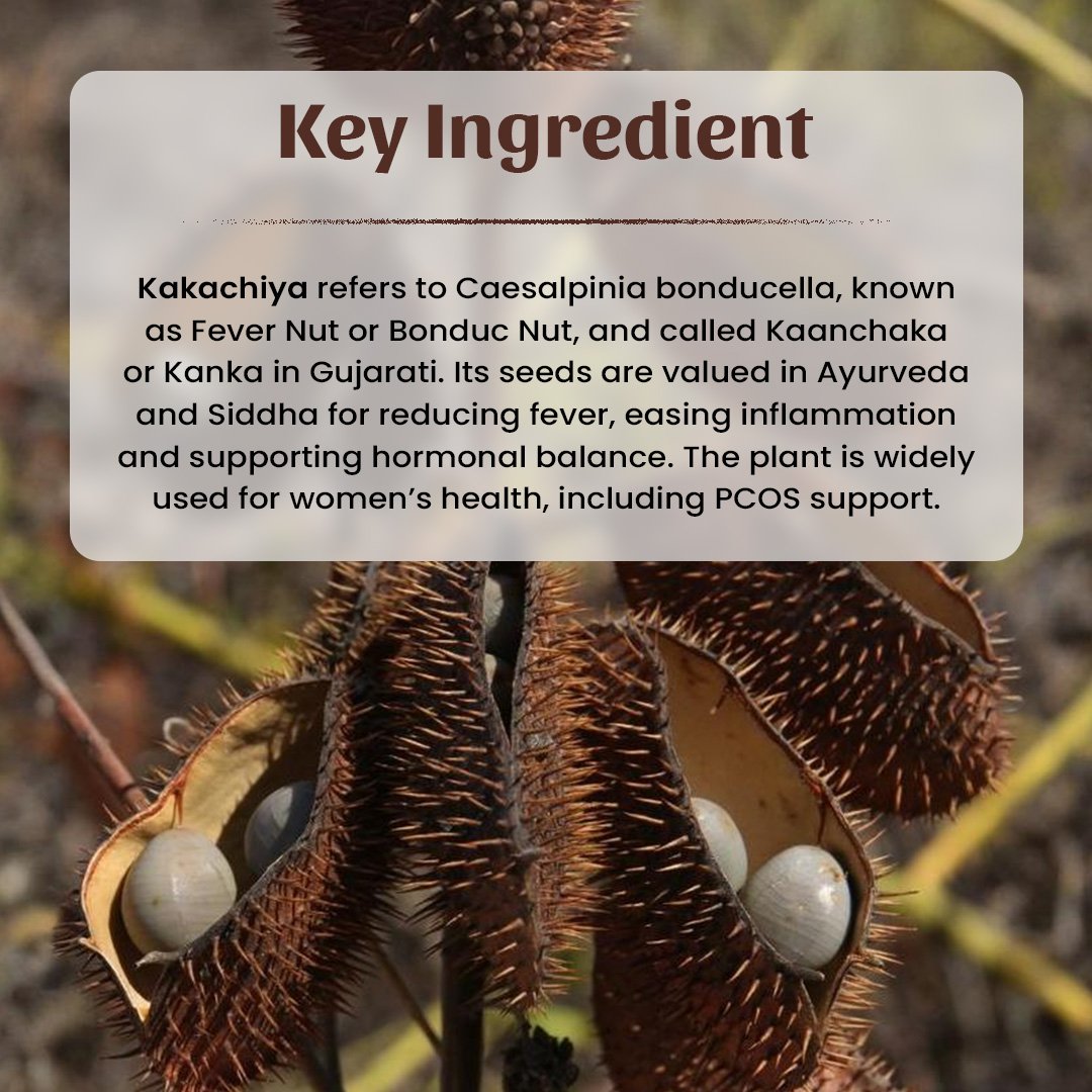 4 Kakachiya Powder Ingradient