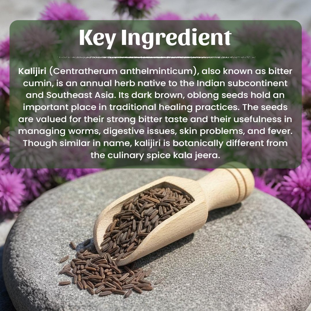 4 Kalijiri Powder Ingradient