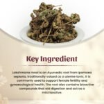 Lakshmana Mool Powder