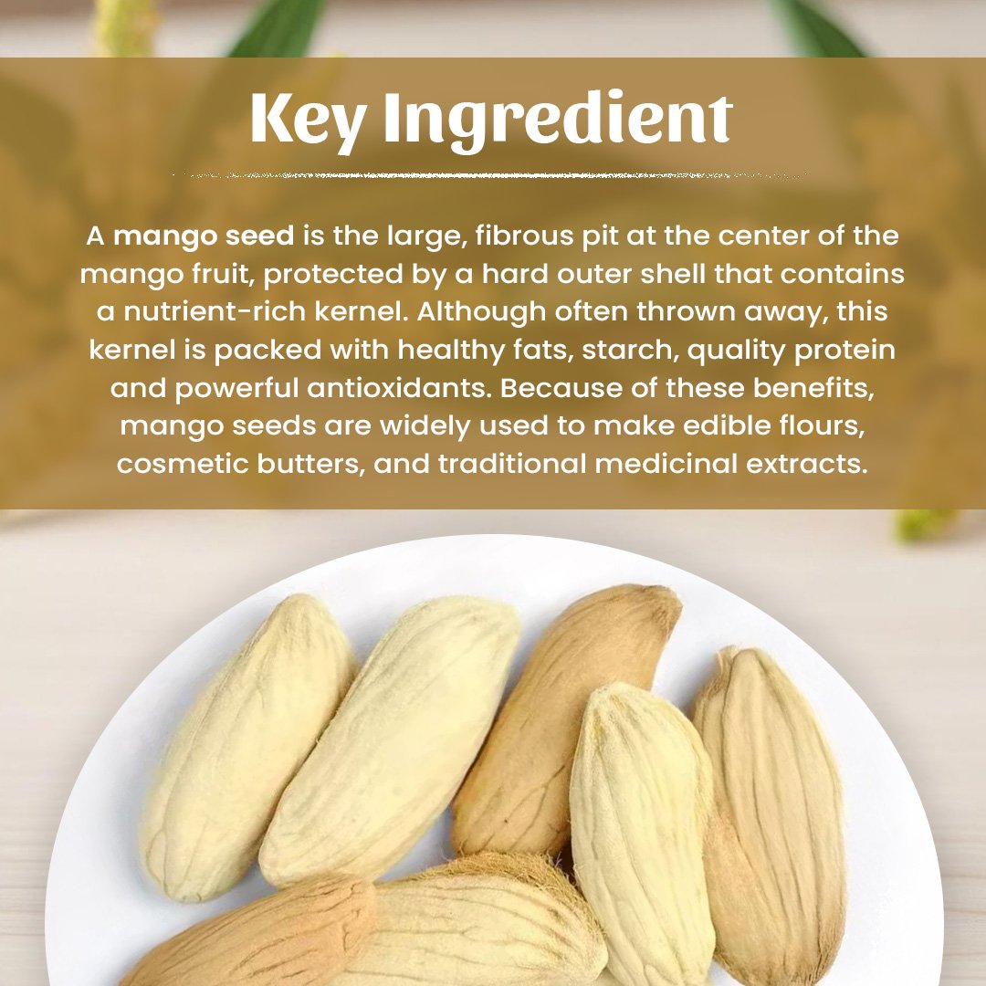 4 Mango Seeds Powder Ingradient