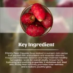 1 Prickly Pear Powder Mockup