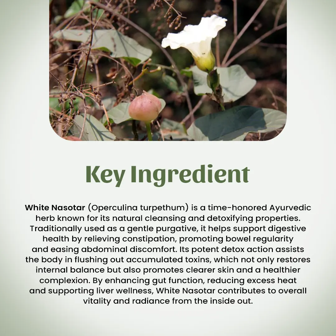 4 White Nasotar Powder Ingredient