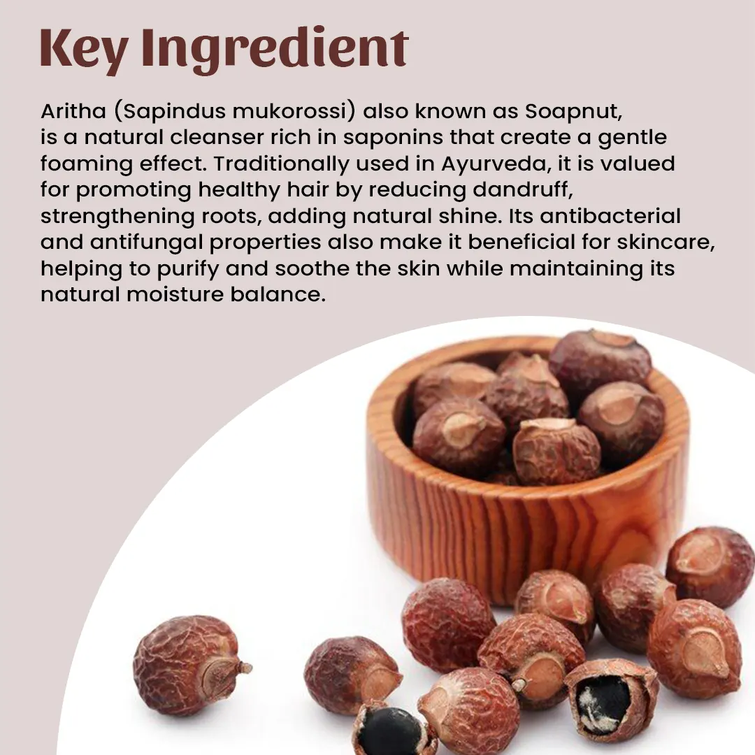 4 aritha powder ingredient