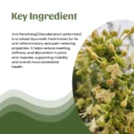 1 arni powder mockup