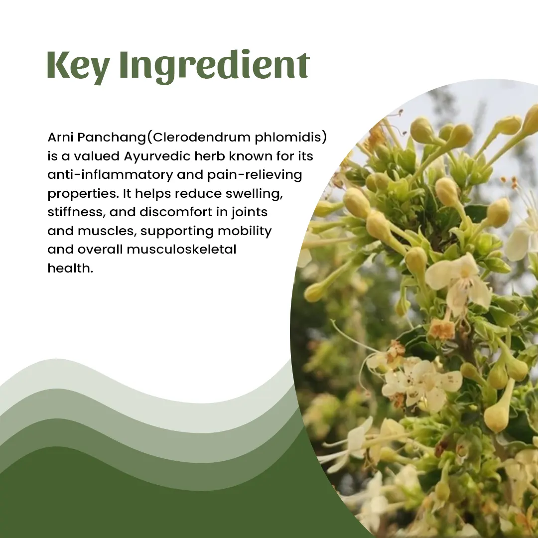 4 arni powder ingredient