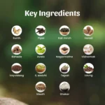 Neel Ayurvedics Avipattikar Powder