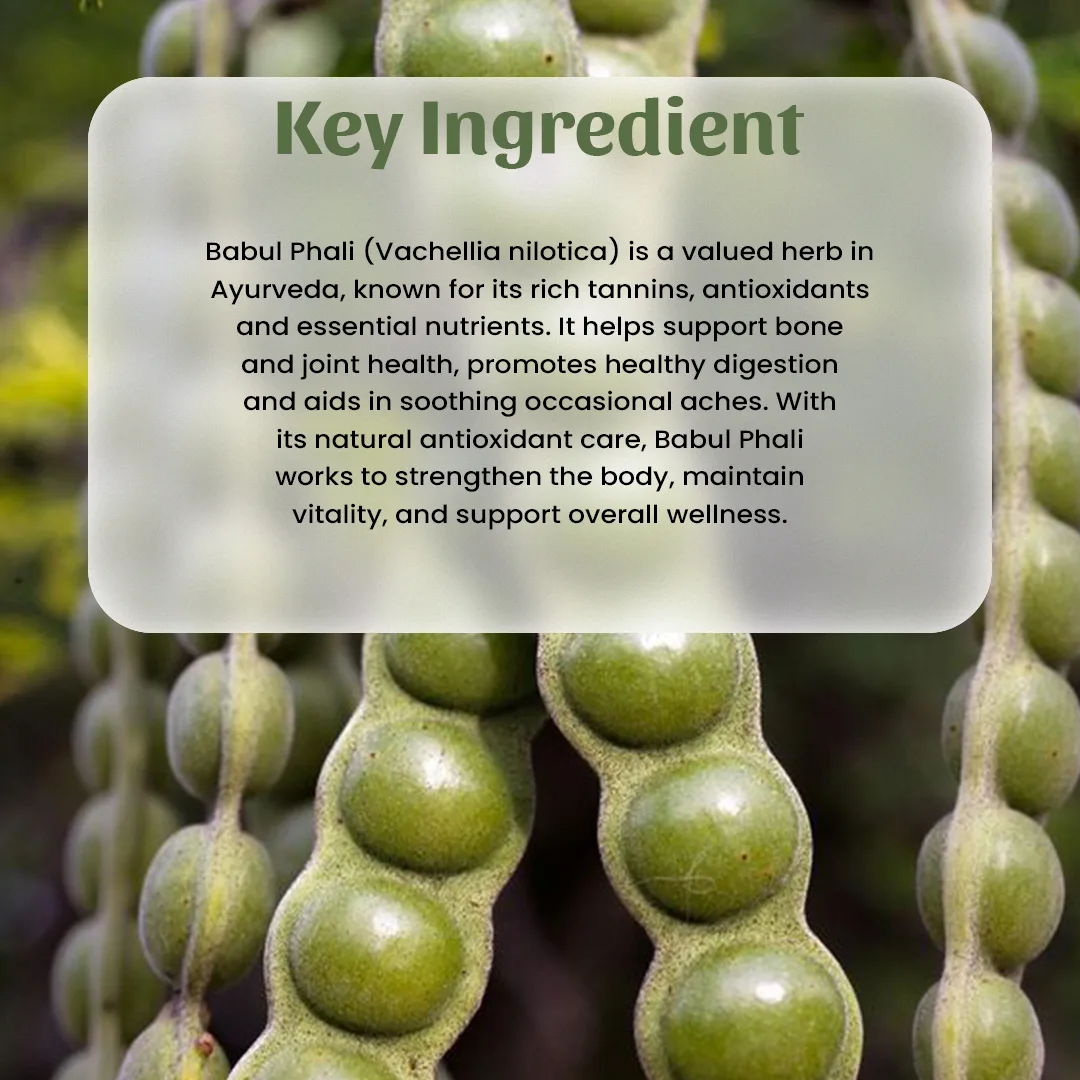 4 babul phali powder ingredient