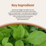 Neel Ayurvedics Bael Leaves Powder