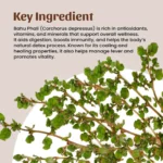 1 bahu phali powder mockup