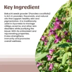 1 bakuchi powder mockup