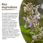 1 bharangi mool powder mockup