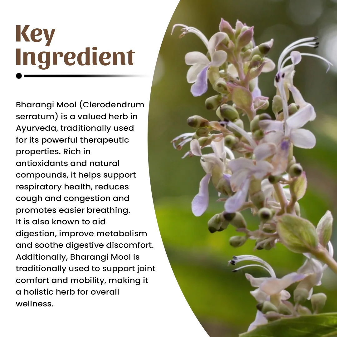 4 bharangi mool powder ingredient
