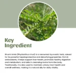 Neel Ayurvedics Bhumi Amla Powder