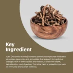 1 kutki powder mockup