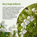 Neel Ayurvedics Ardusi Powder