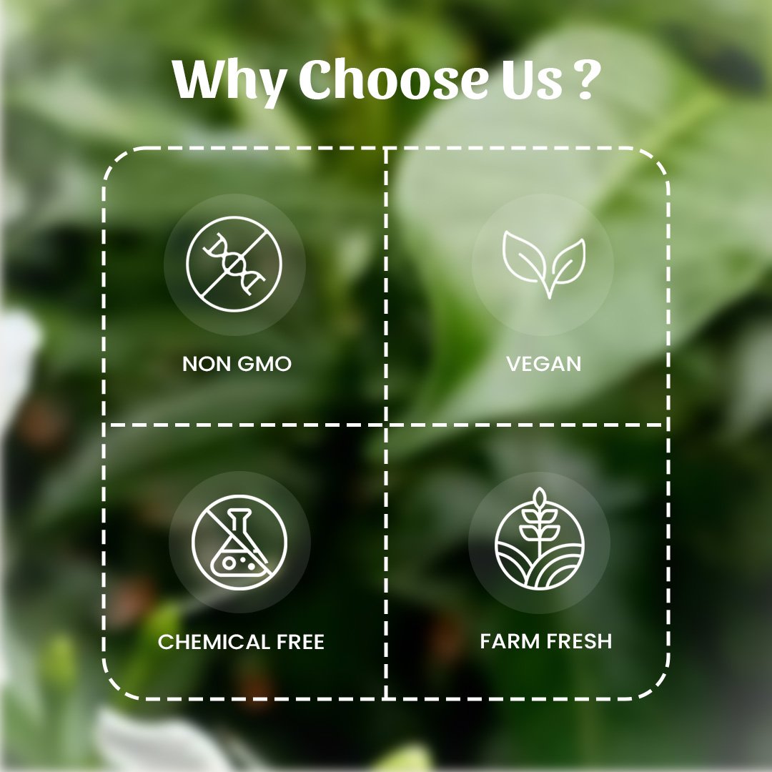 6 Indrajav Powder Why Choose Us