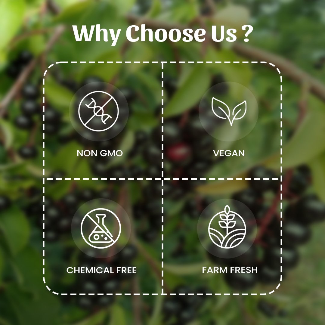6 Jamun Seeds Powder Why Choose Us