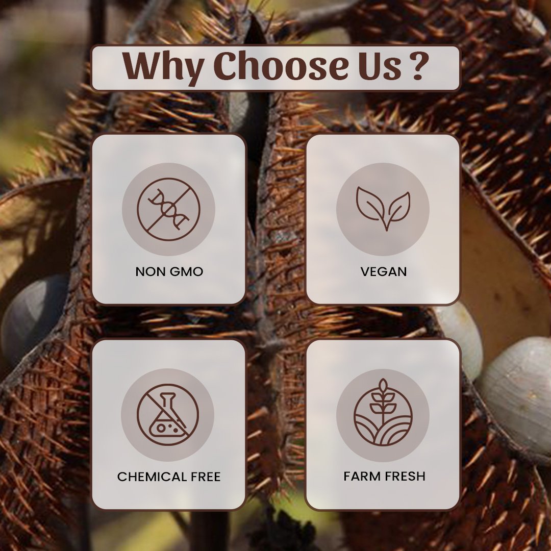 6 Kakachiya Powder Why Choose Us