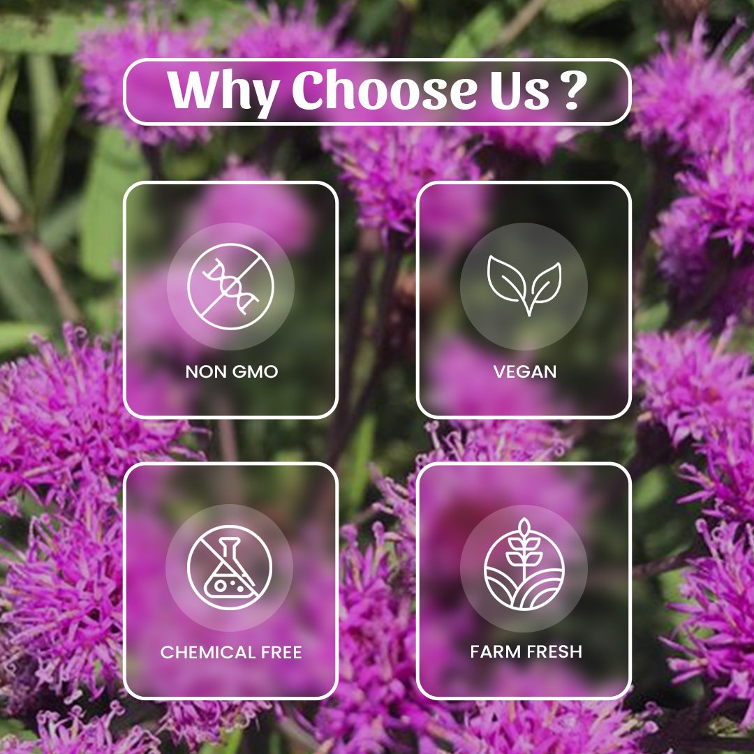 6 Kalijiri Powder Why Choose Us