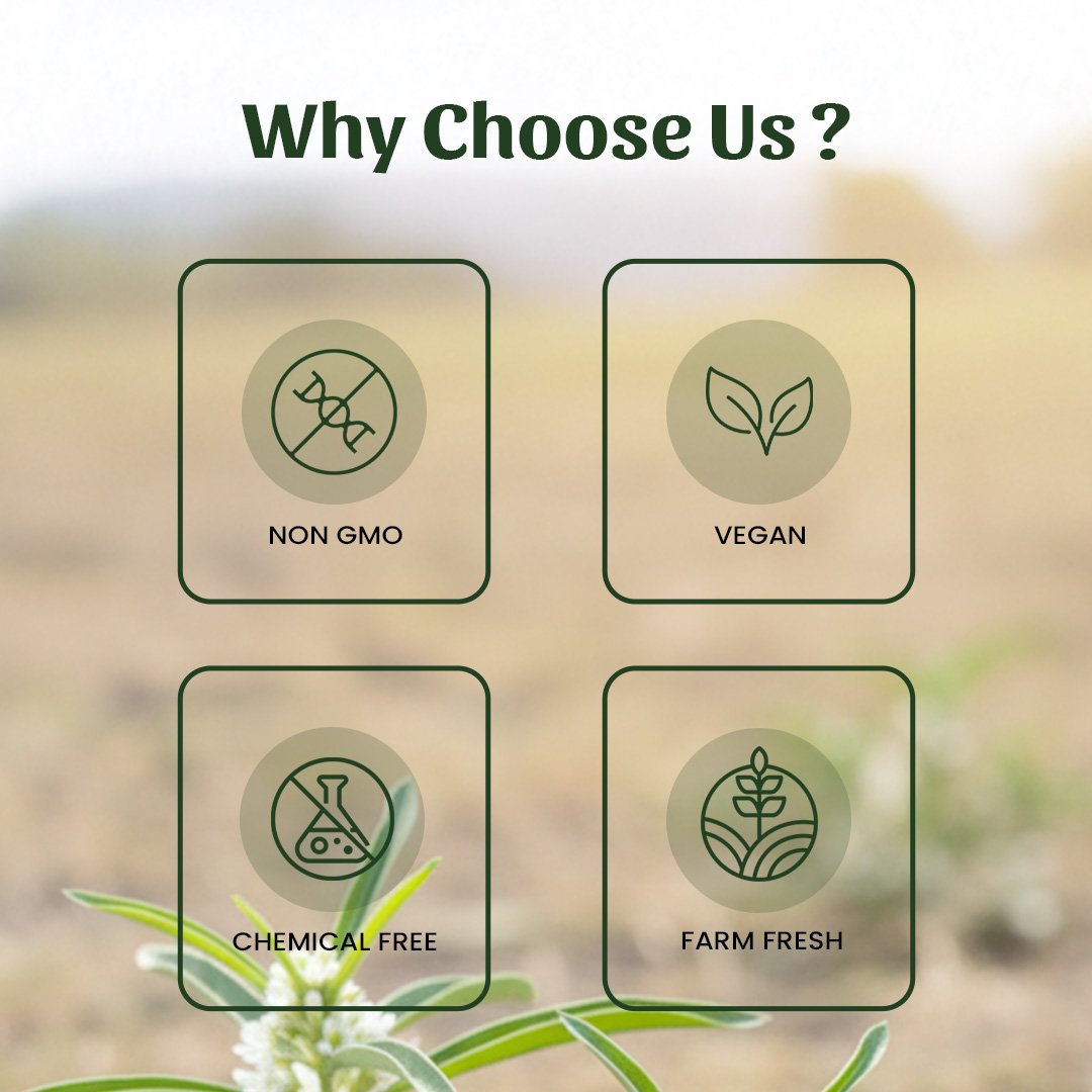 6 Mamejava Why Choose Us