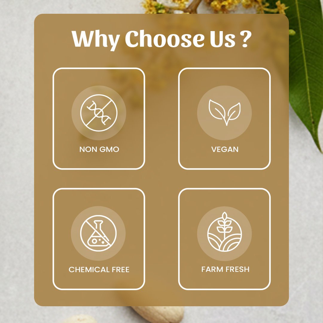 6 Mango Seeds Why Choose Us