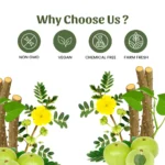 1 giloy powder mockup