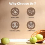 1 amla powder mockup