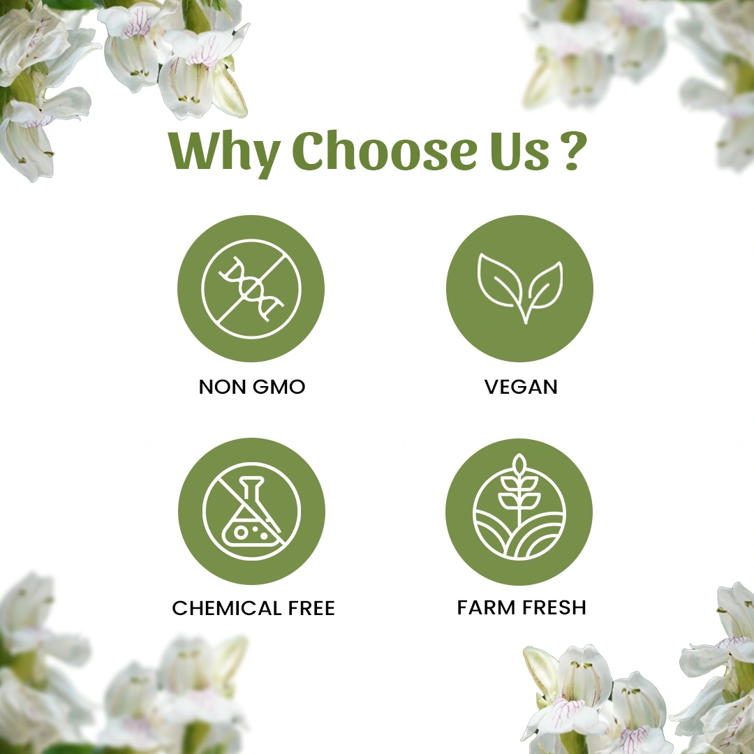 6 ardusi powder why choose us