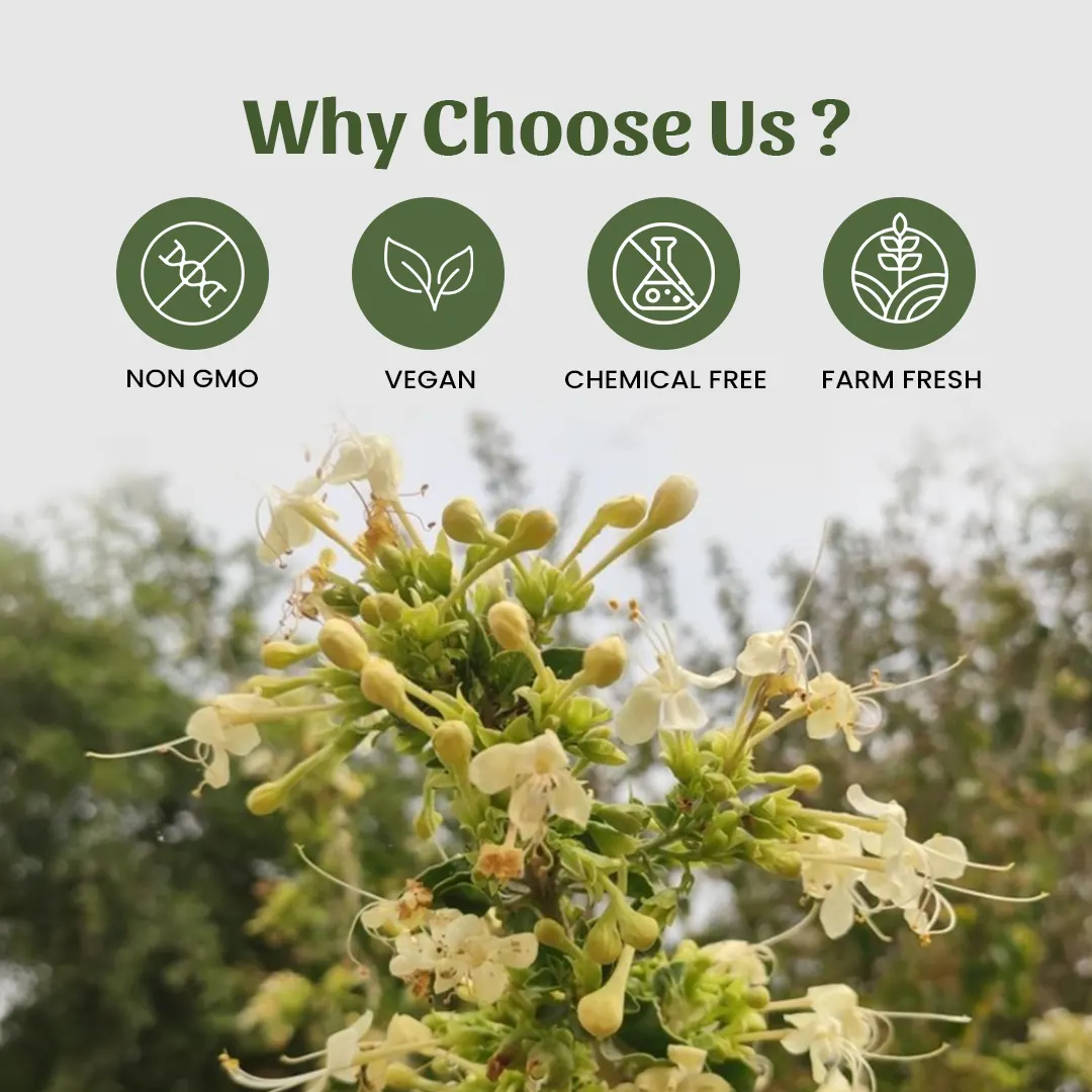 6 arni powder why choose us