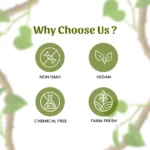 1 giloy powder mockup