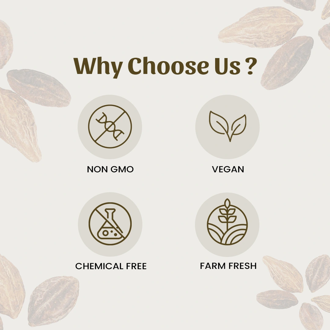 6 harde powder why choose us