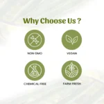 1 lmoringa drumstick powder mockup