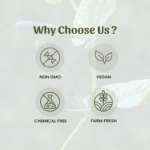 1 long pepper creative mockup