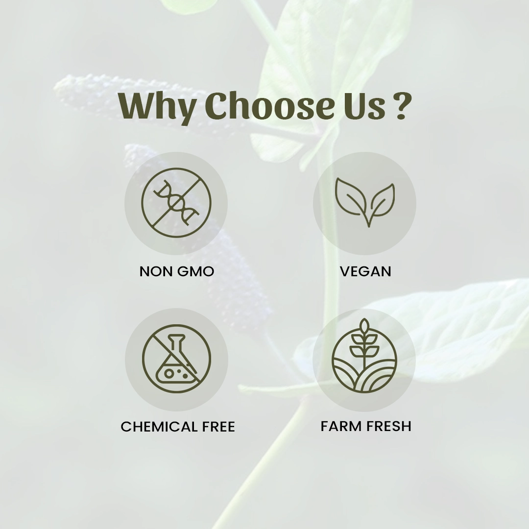 6 long peppwr powder why choose us