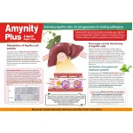 Aimil-Amynity-Plus-Liquid-Sugar-Free.png