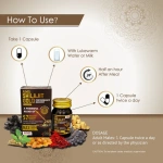Aimil-Shilajit-Gold-Capsules-–-20-Caps.png