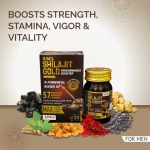 Aimil-Shilajit-Gold-Capsules-–-20-Caps.png