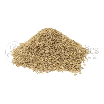 Neel Ayurvedics Ajmo | Ajwain | Carom Seeds | Trachyspermum ammi