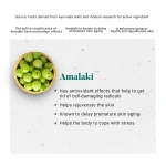 Himalaya-Amalaki-Tablet-–-60-Tab.png