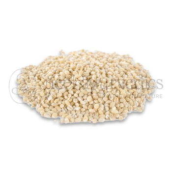 Neel Ayurvedics Jau | Barley | Hordeum Vulgare