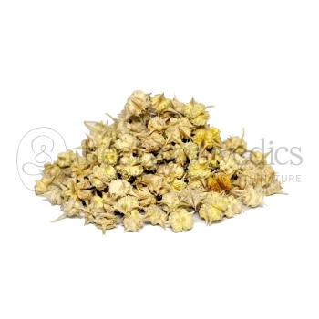 Neel Ayurvedics Small Gokhru | Tribulus terrestris - Best for urinary tract infections
