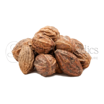 Neel Ayurvedics Harde | Dried Whole Haritaki | Haritaki Seeds | Terminalia chebula